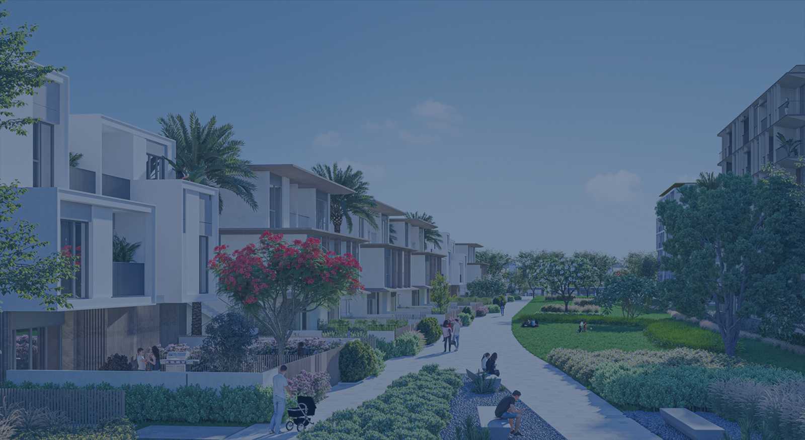 IL Cazar Developments Elevation Realestate