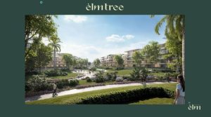 Elm Tree October Compound